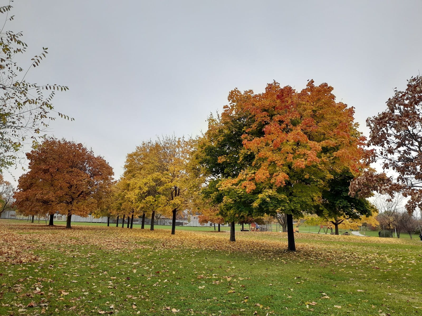 Baycrest Park, photo 3