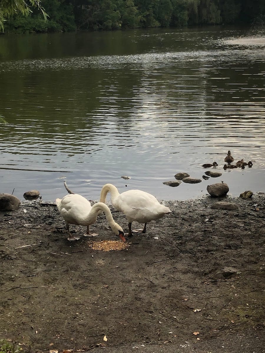 Mill Pond Park