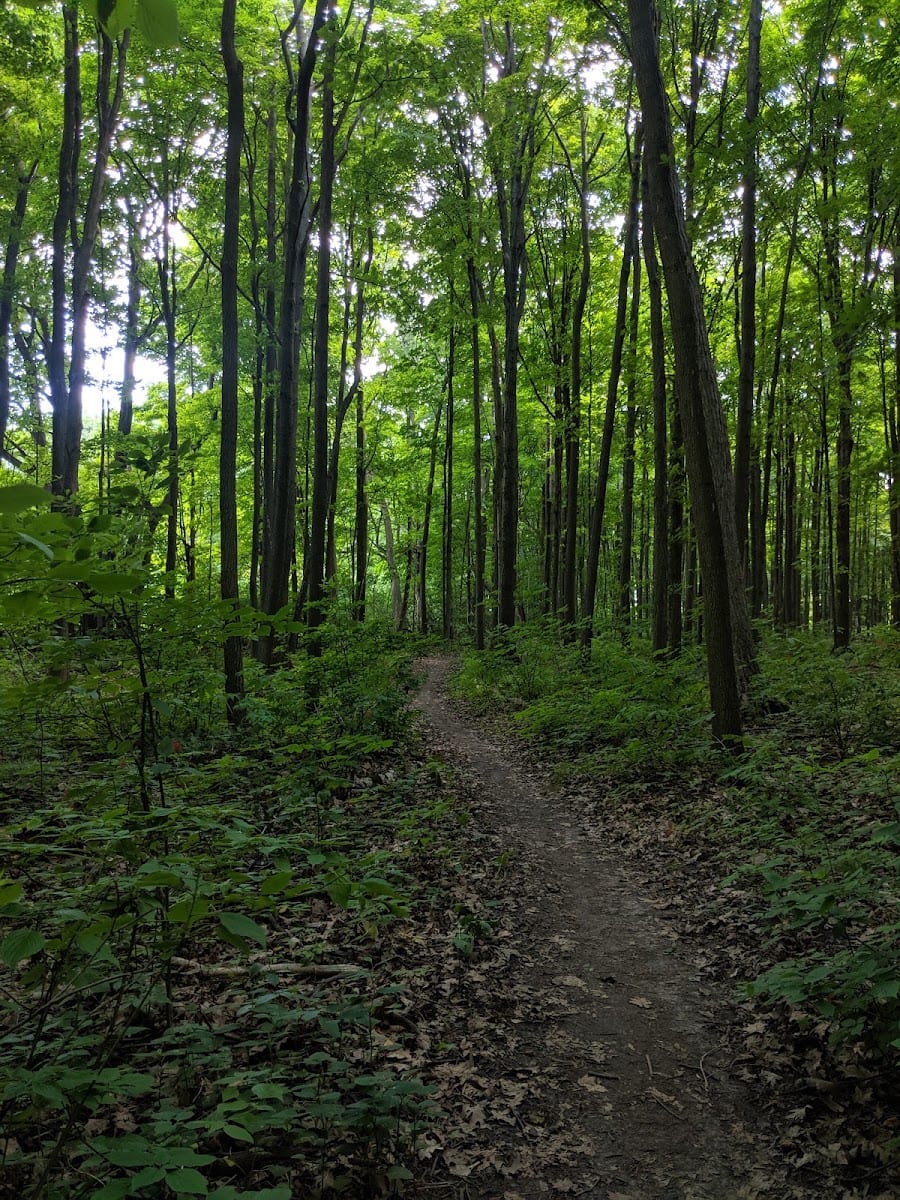 Oak Ridges Corridor, Conservation Reserve