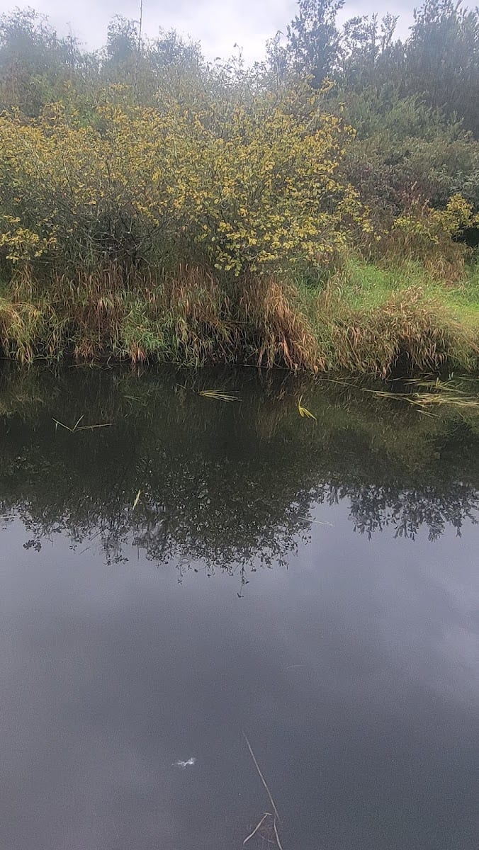Black lake creek