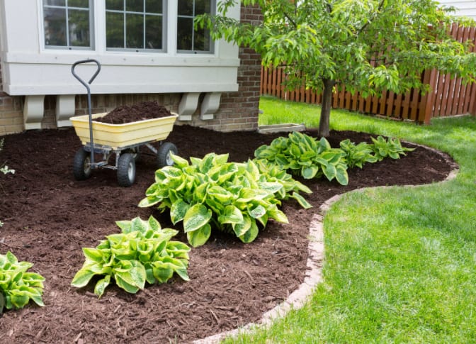 4 seasons lawn care and tree service