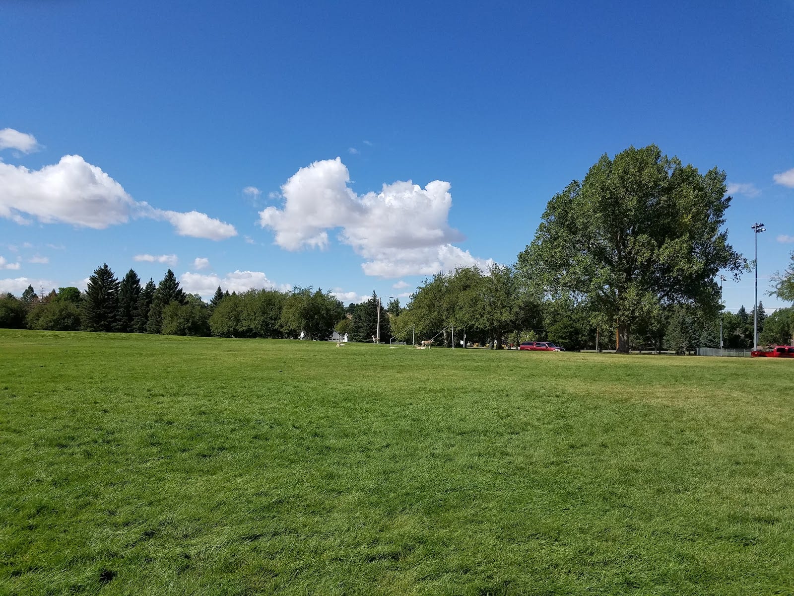 North Mike Sedar Park