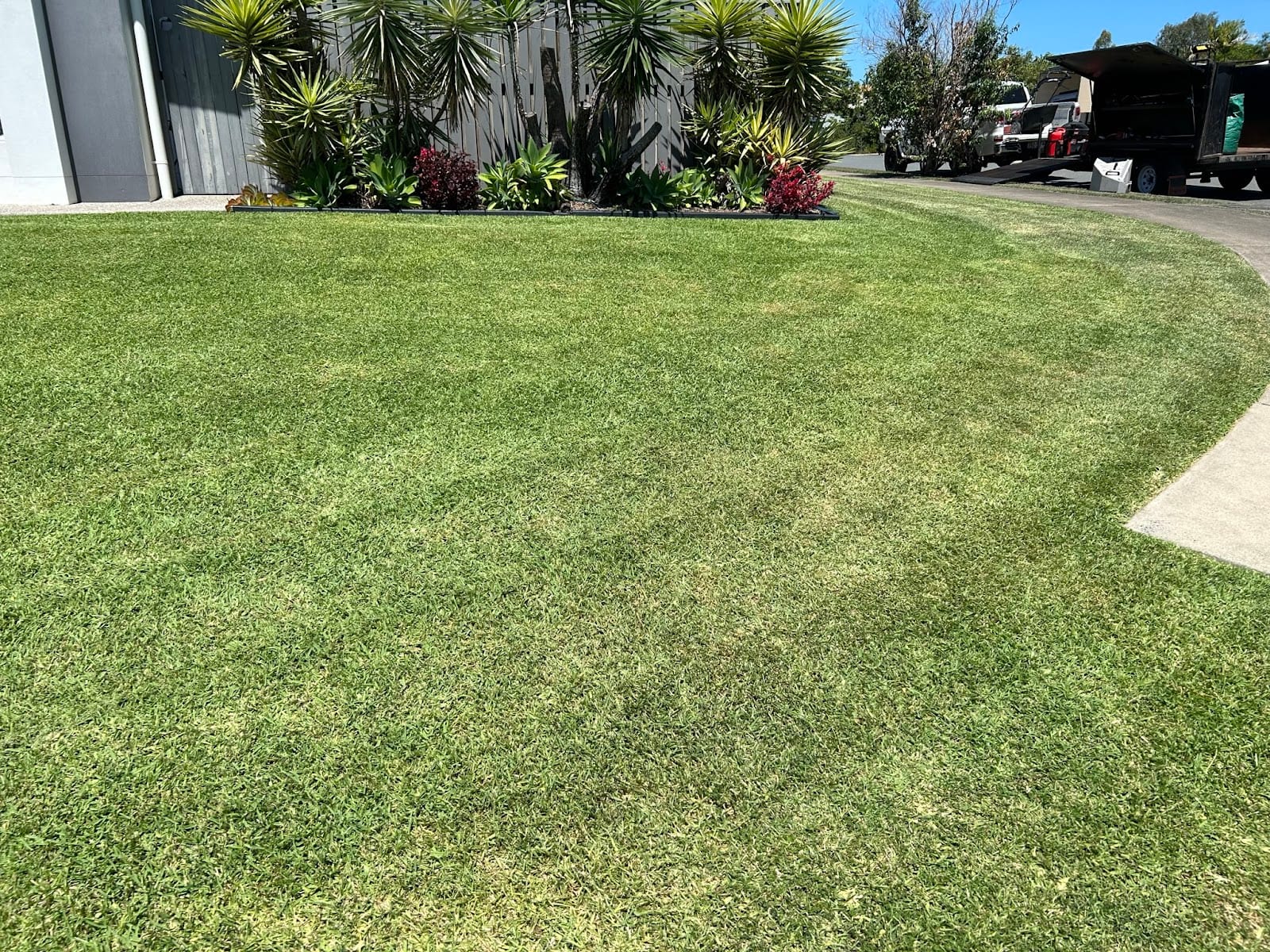 Mad Dog Maintenance Services Mackay