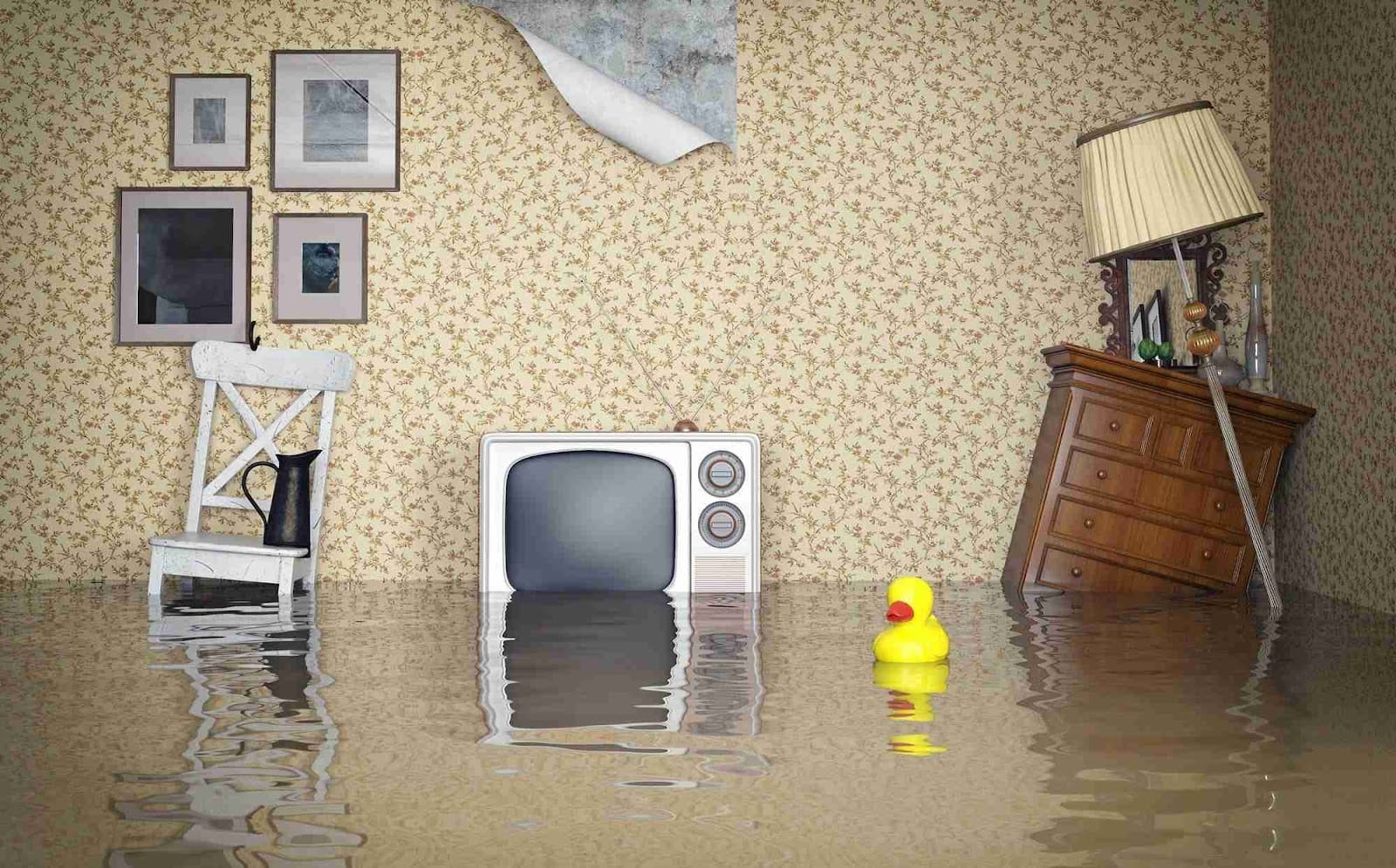 Flood Doctor - Water Damage Restoration - Flood Cleanup Services