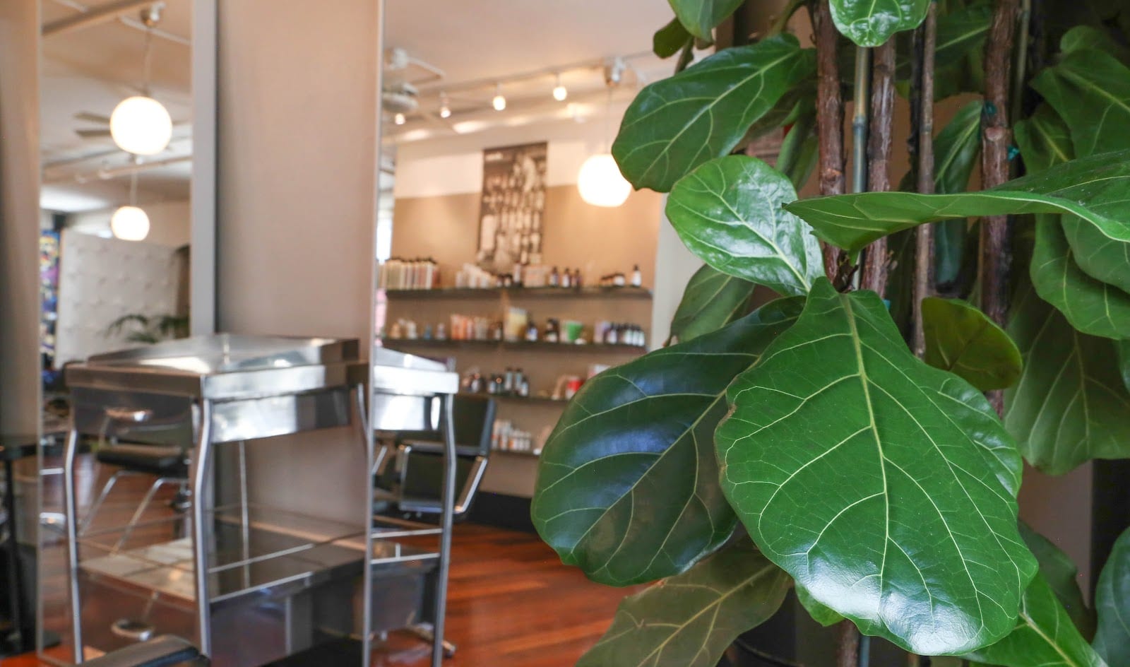 Blade and Brush Hair Salon, photo 4