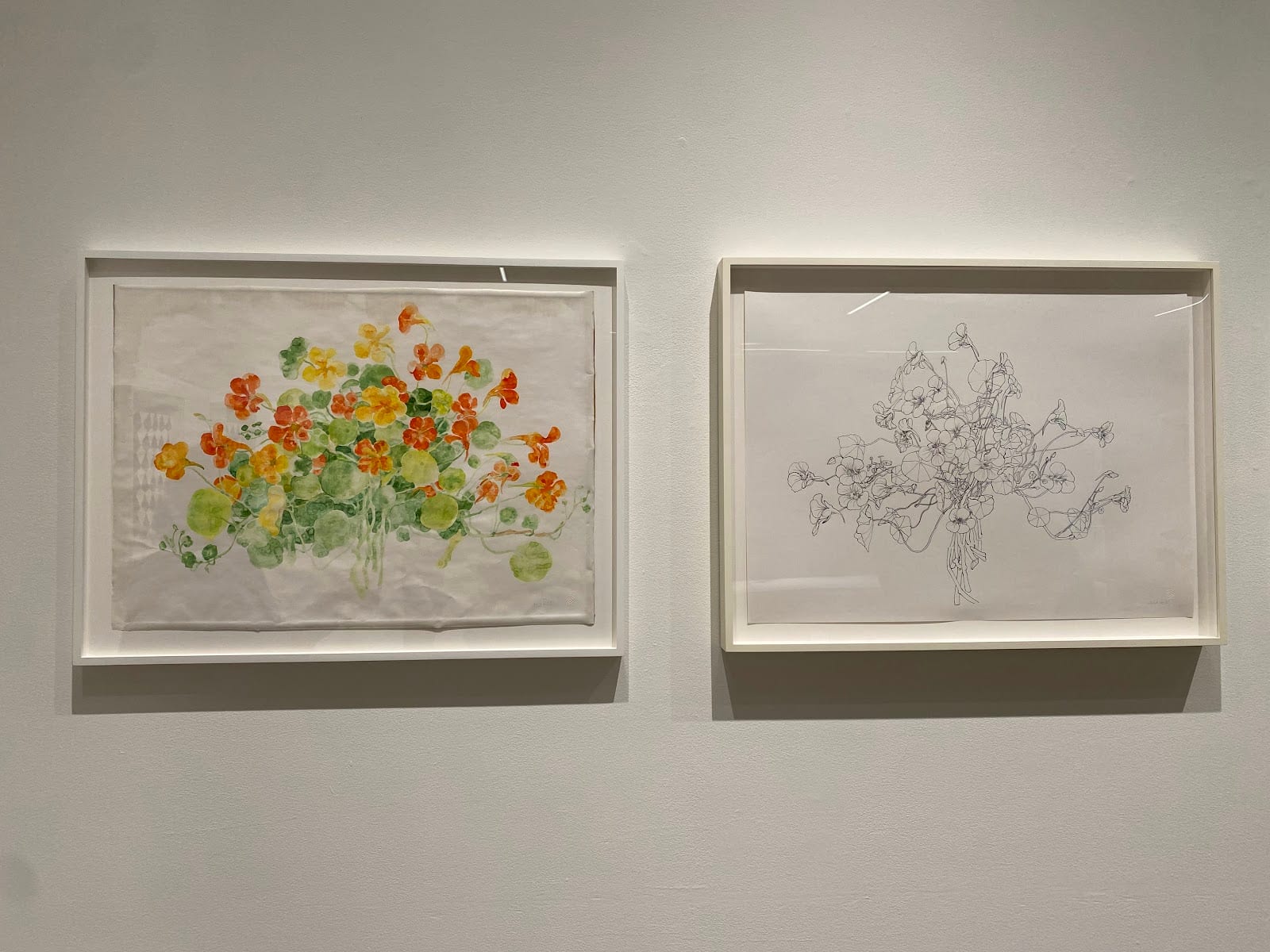 Ruth Asawa Lanier, Inc.