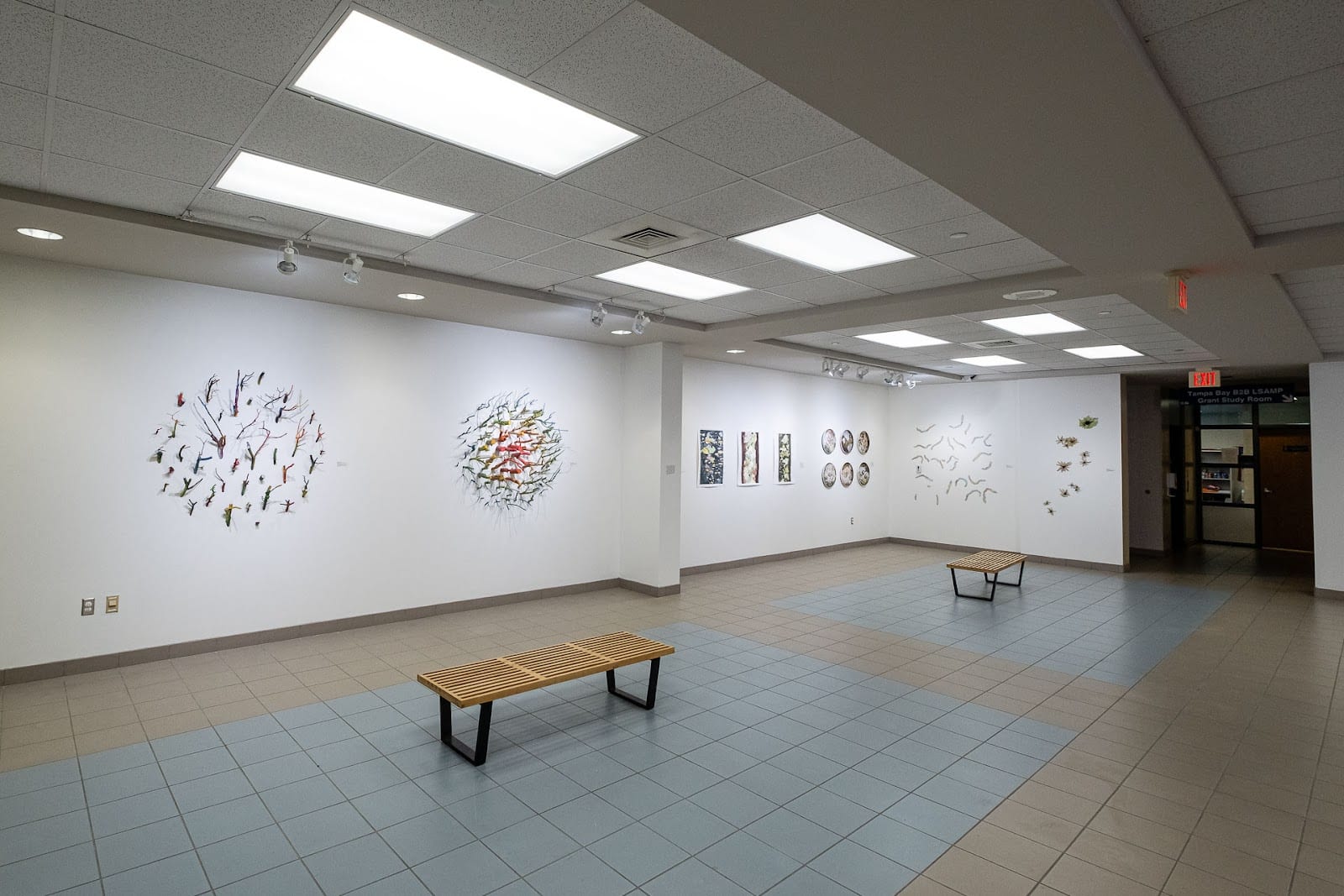 Gallery221@HC Dale Mabry, photo 4