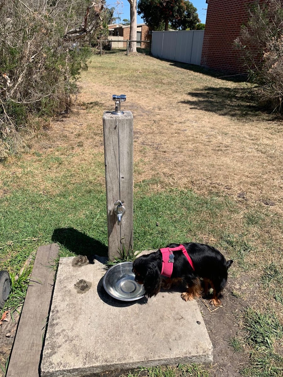 Woodvale Reserve Fenced Off Leash Dog Park, photo 3
