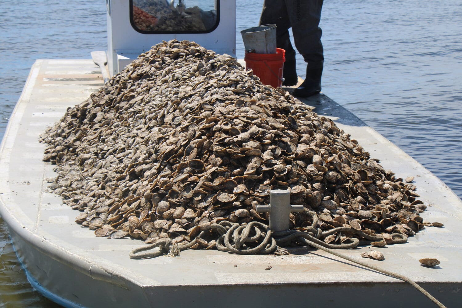 Oysters, Art & Booze