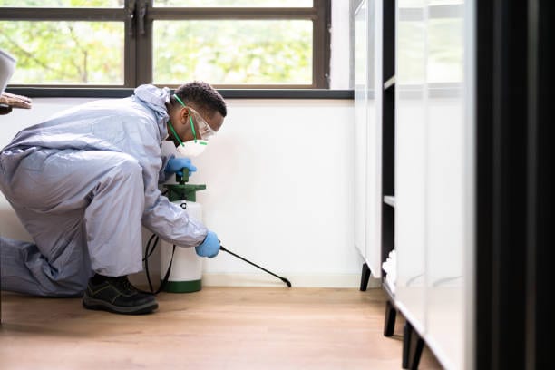 Premier Pest Control Experts