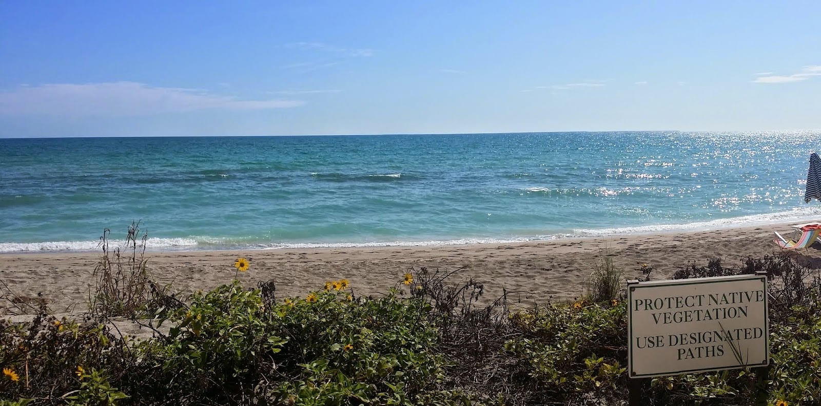 Florida Gulf Front Vacation, photo 3