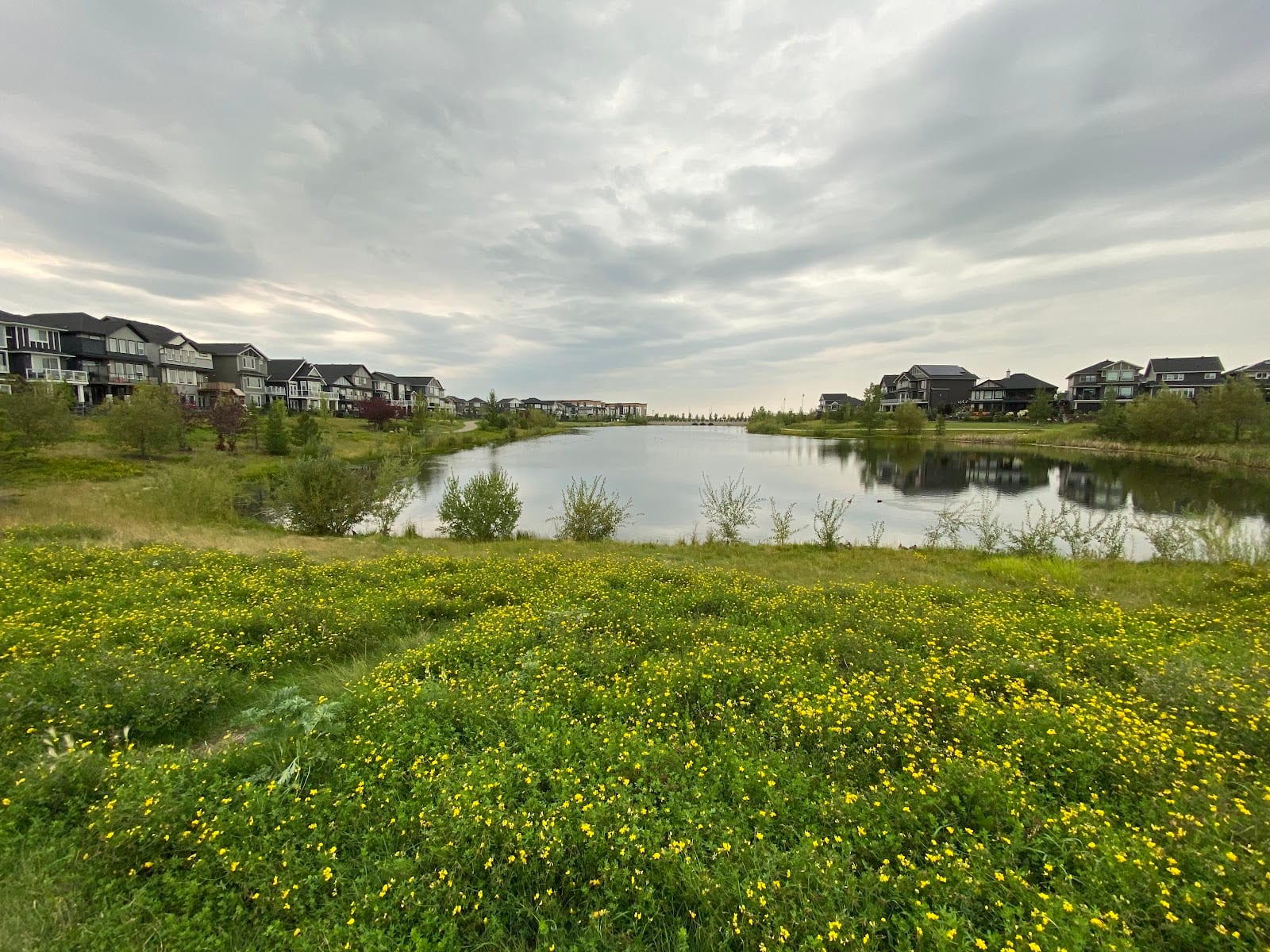 Abbey Park