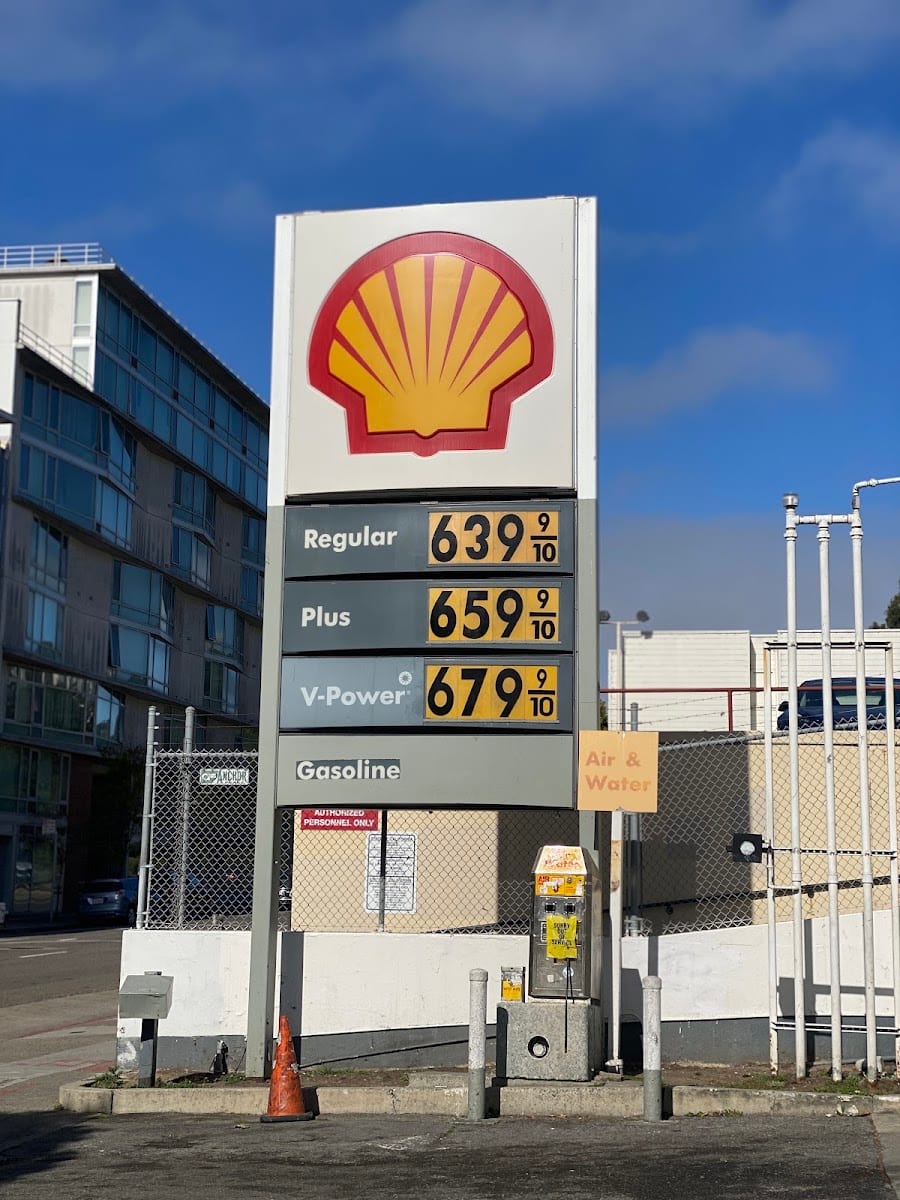 Shell, photo 3