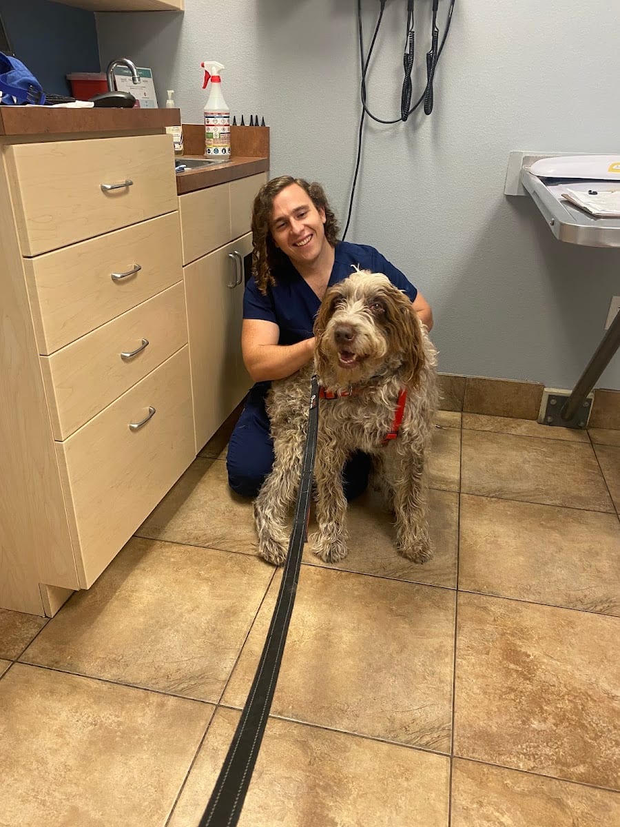 Charlotte Animal Hospital, photo 4