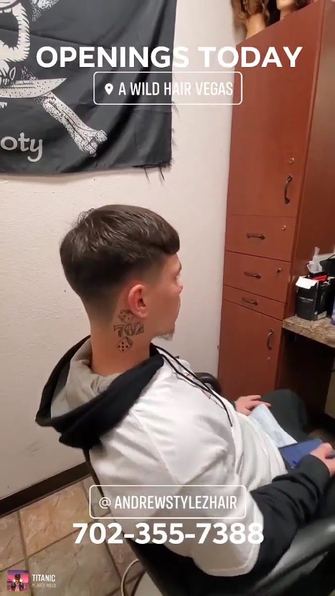 Andrew Stylez Hair, photo 4