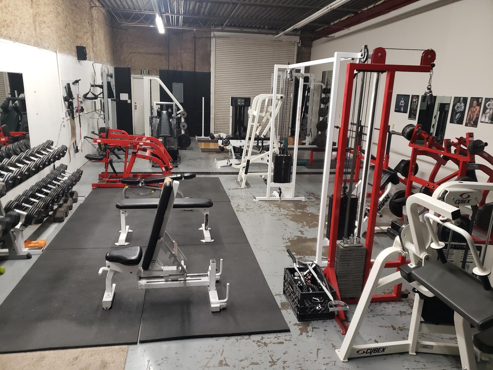 Iron Gym