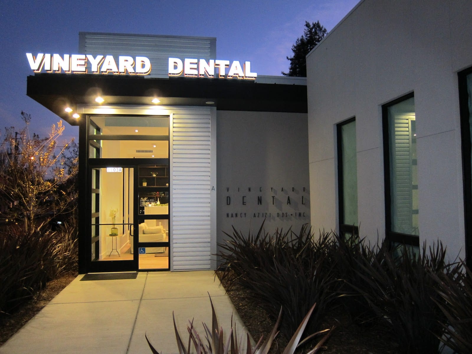 Vineyard Dental: Nancy Azizi DDS