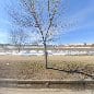 Rotary Park at Trillium Centre
