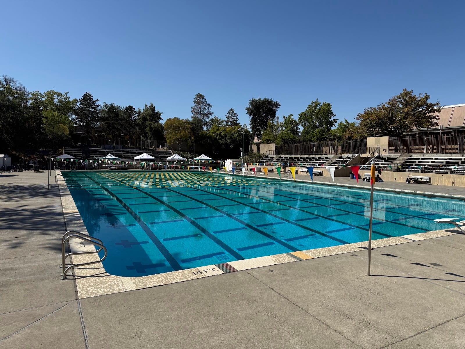 Napa Valley Swim Team