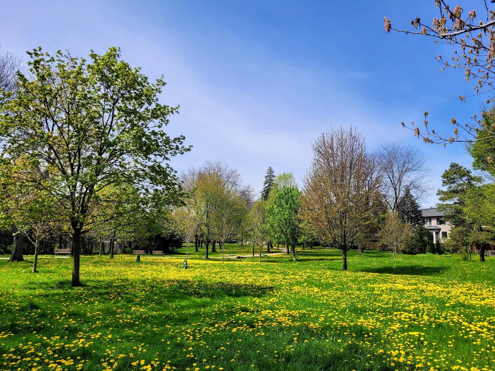 Rippleton Park