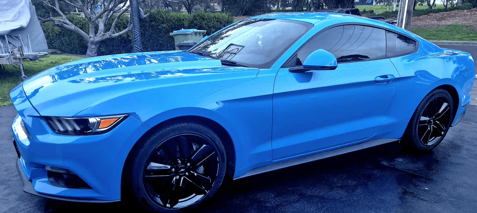 Harrys Luxe Detailing