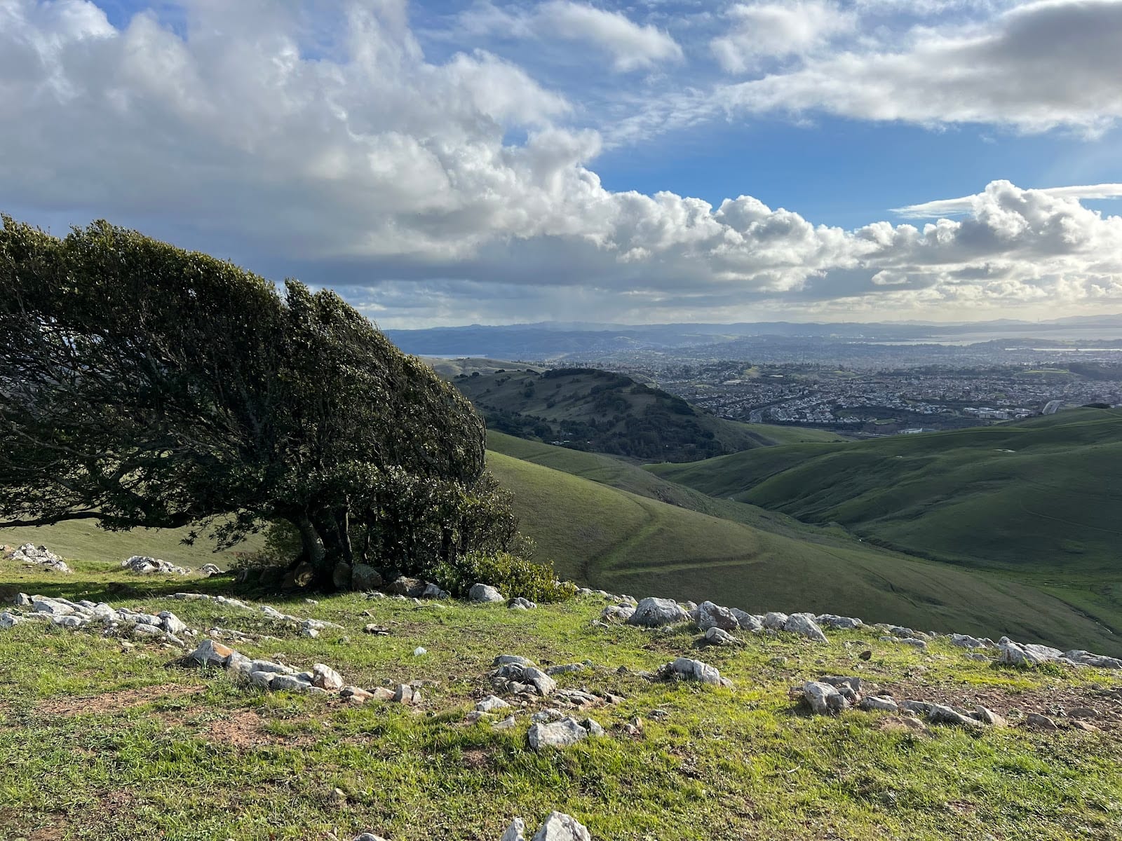 Bay Area Ridge Hiddenbrooke Trailhead