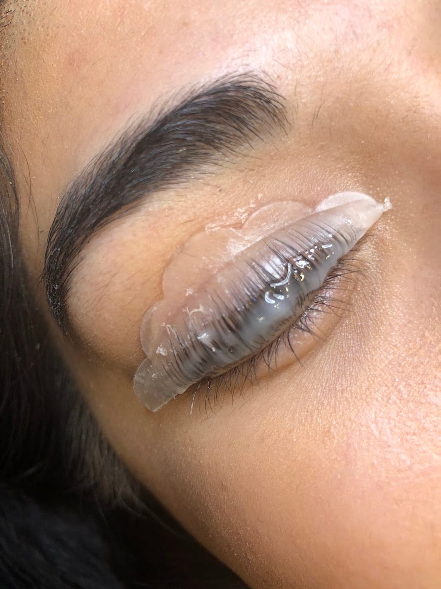 The Waxing Studio - Campbell
