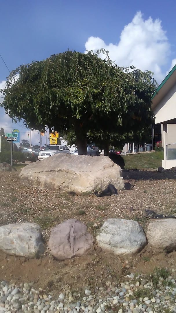 Hometown Inn, photo 4