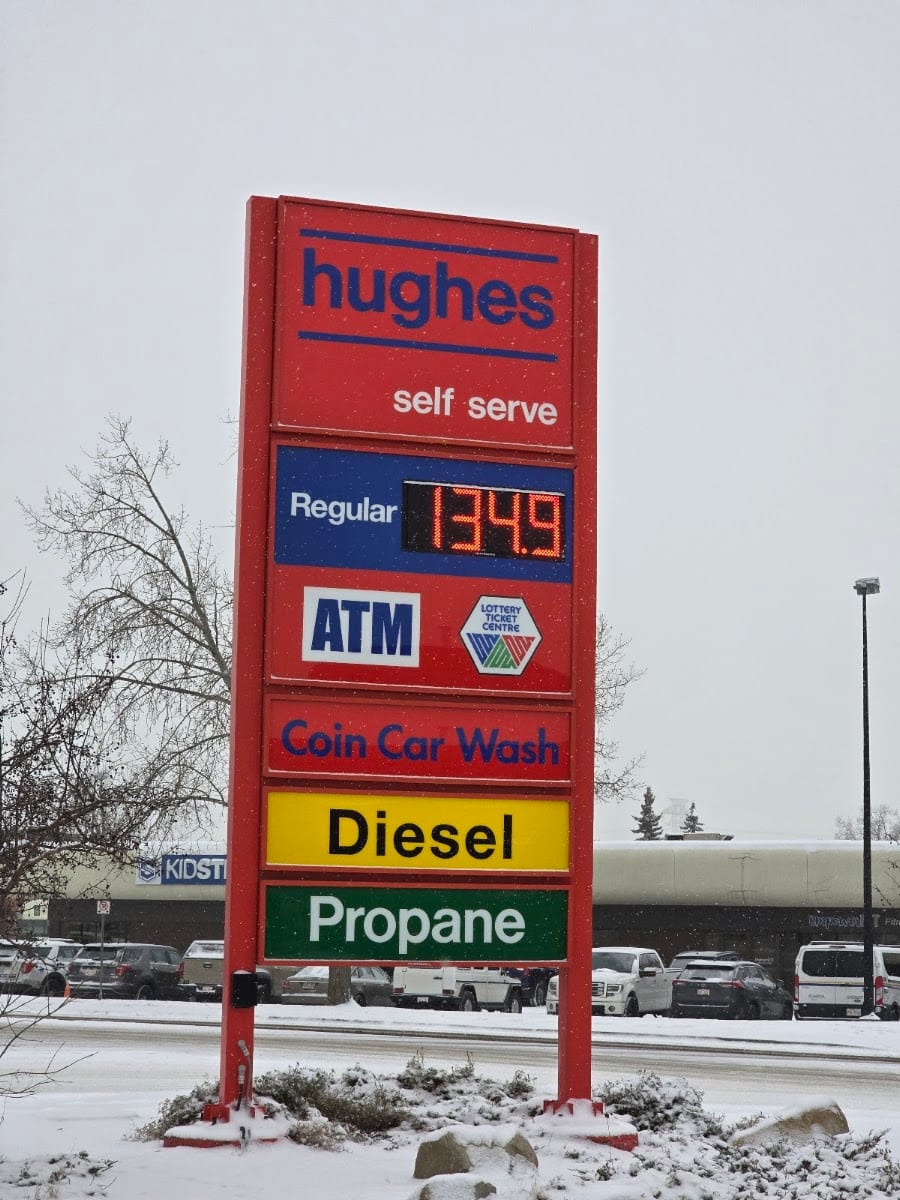 Shell, photo 4