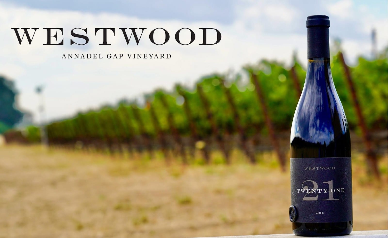 Westwood Estate Wine, photo 2
