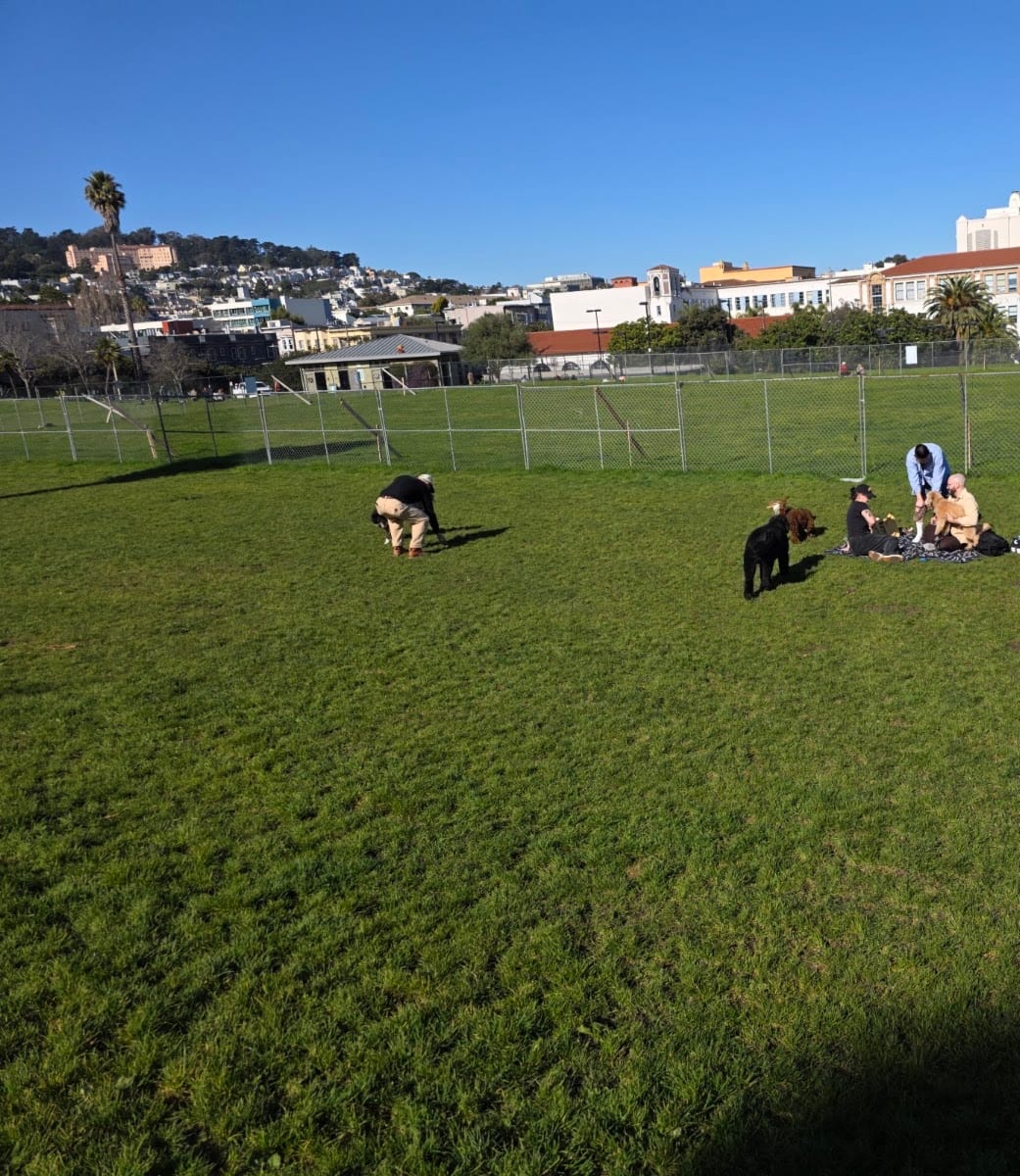 Mission Dolores Dog Play Area South