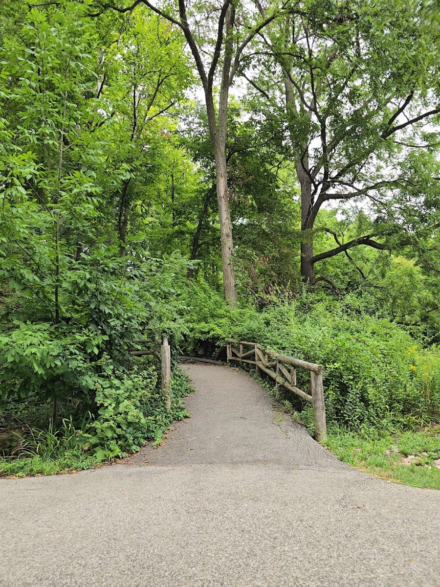 Edwards Gardens Trail Head