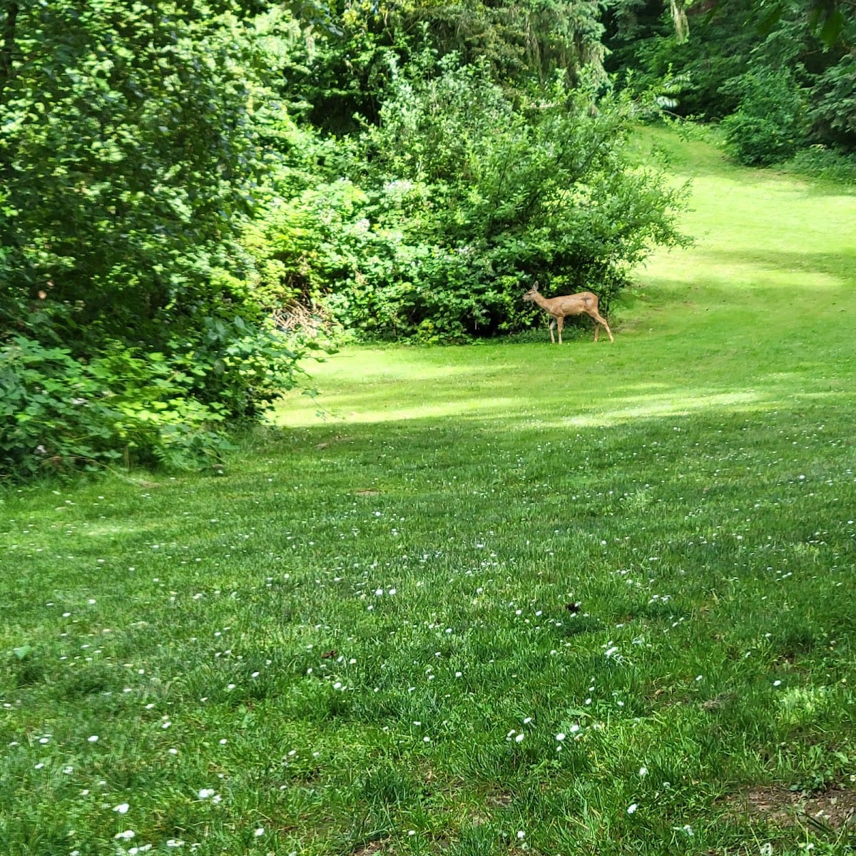 Decatur Woods Park