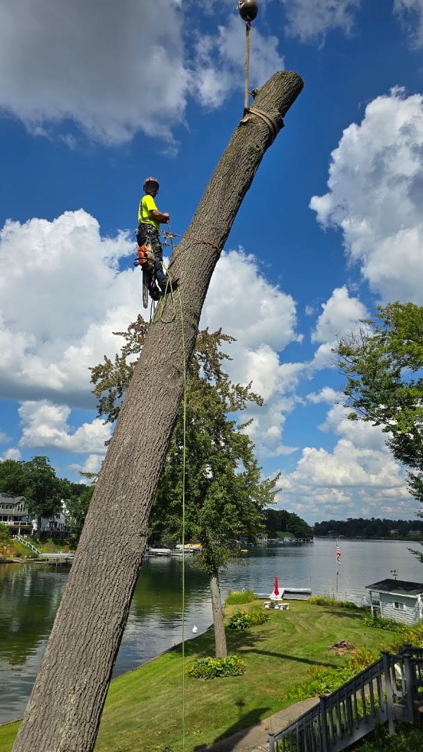 Brawner's Tree Service - Operations Yard