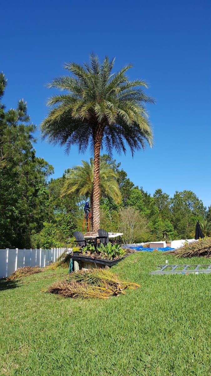 Oakleaf Sports Association, photo 3