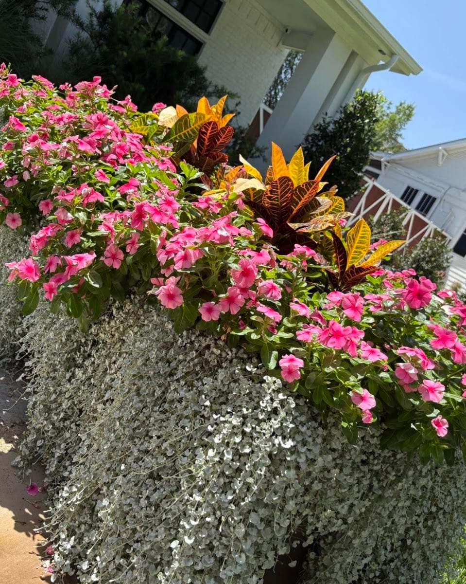 Texana Outdoor Services, LLC., photo 2