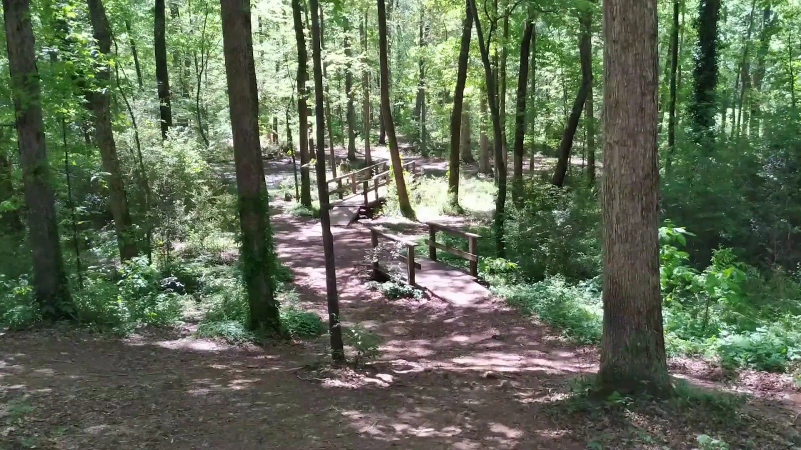 The Trails DGC, photo 2