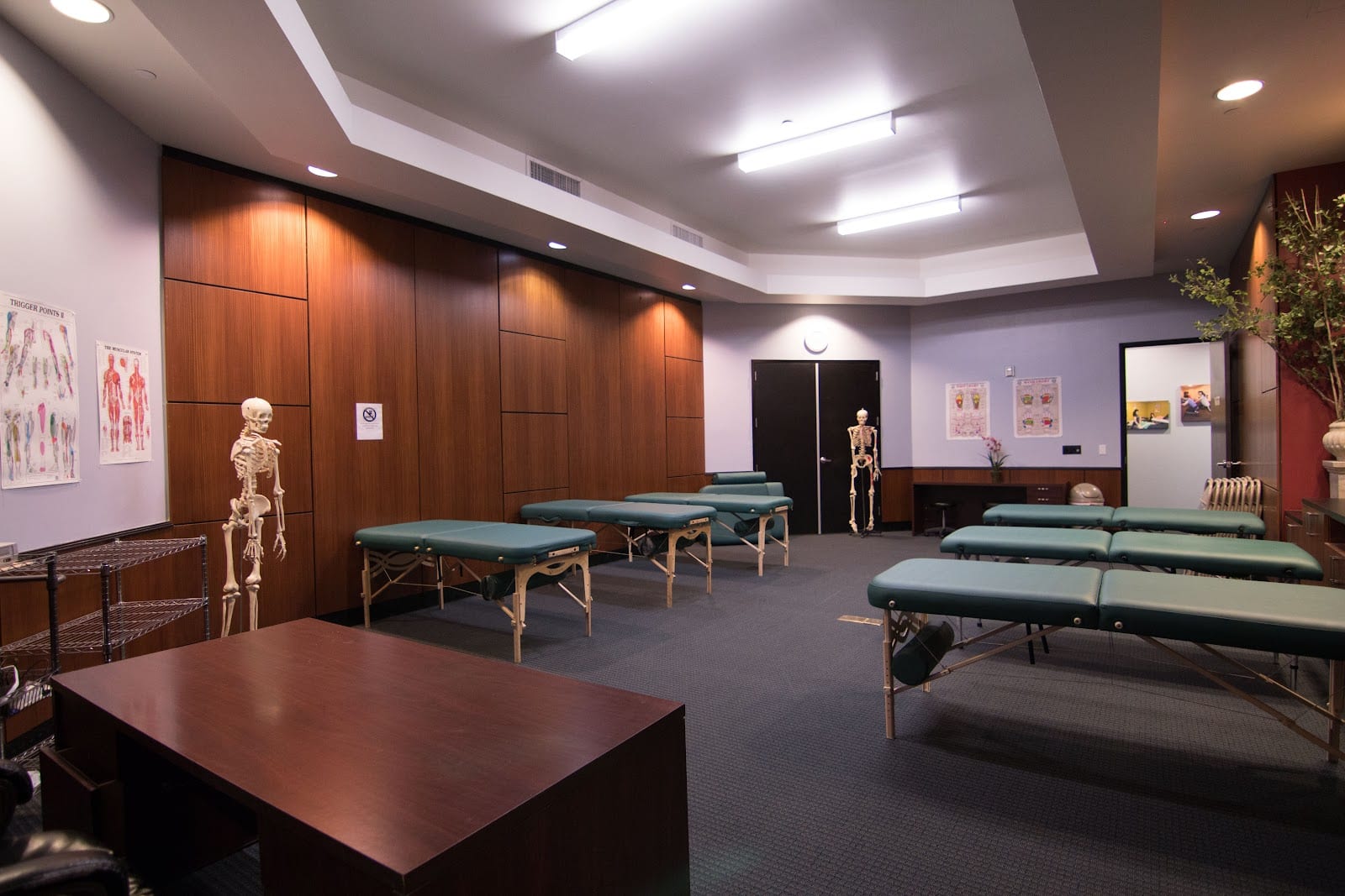 European Massage Therapy School