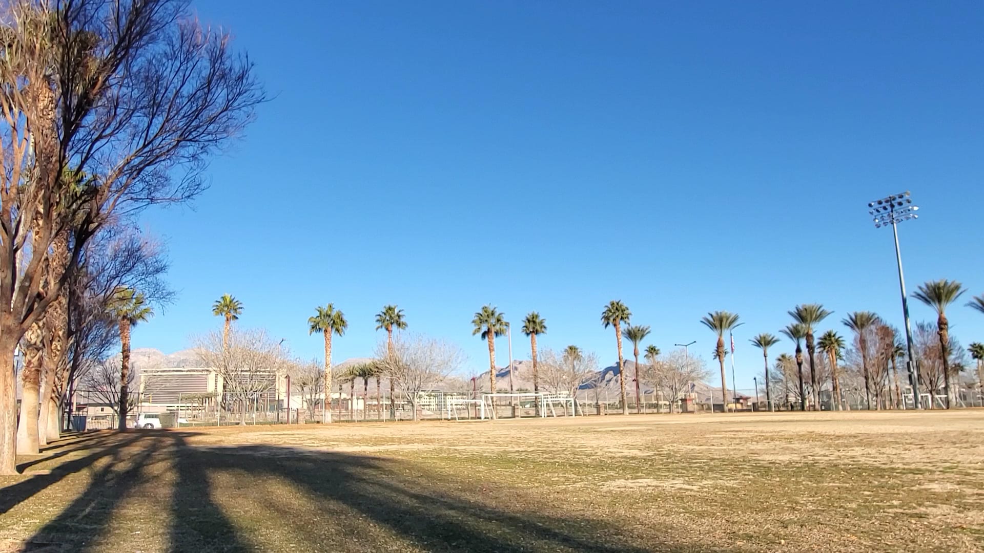Summerlin Centre Community Park, photo 2
