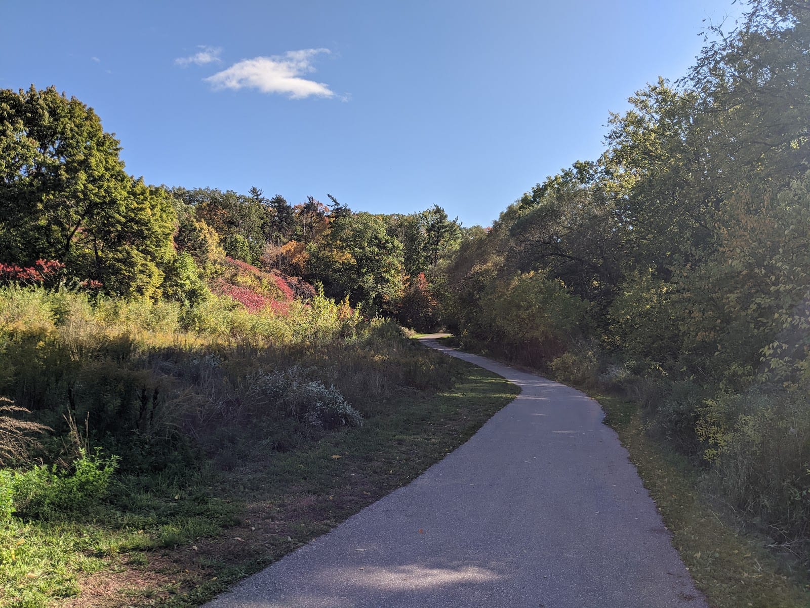North Park