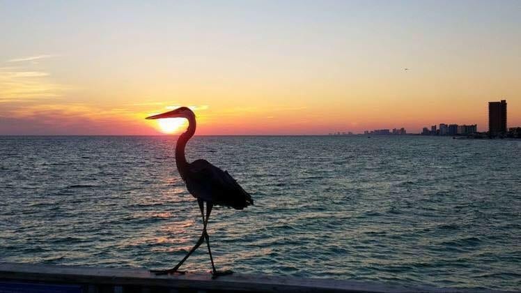 Eagle American Realty Group, LLC