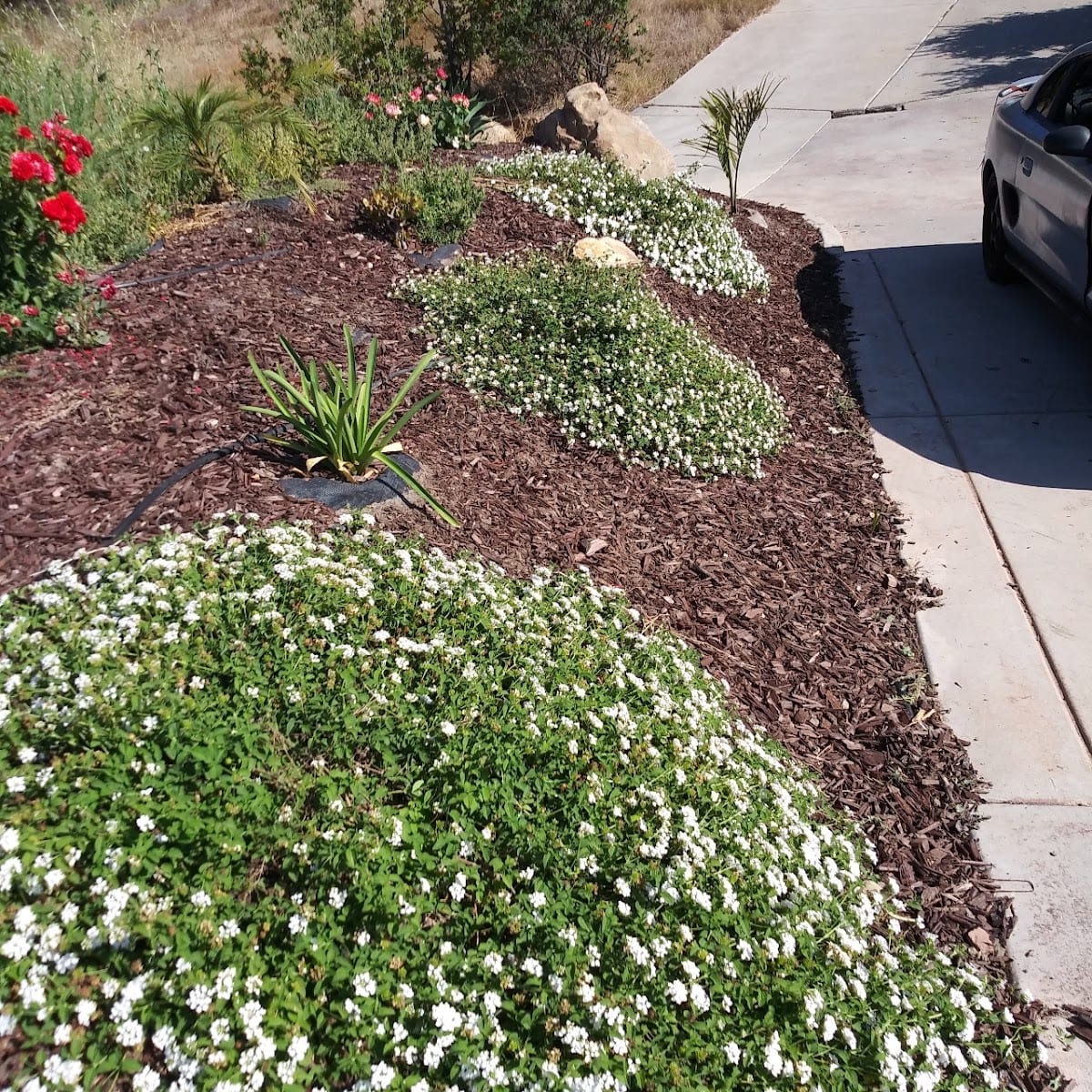 LawnStarter Landscaping, photo 4