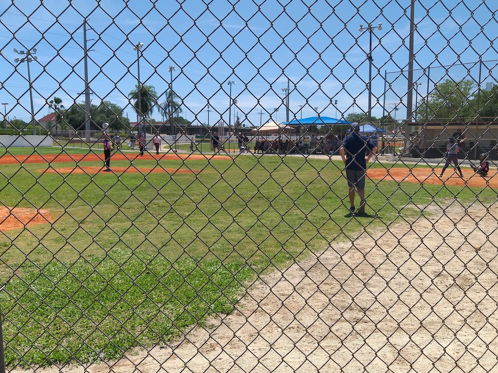 Sarasota Cal Ripken Baseball