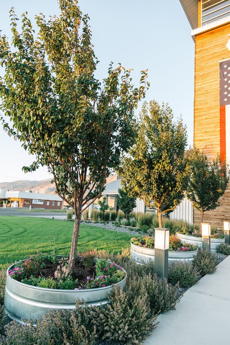 Three Men & A Shovel Landscaping