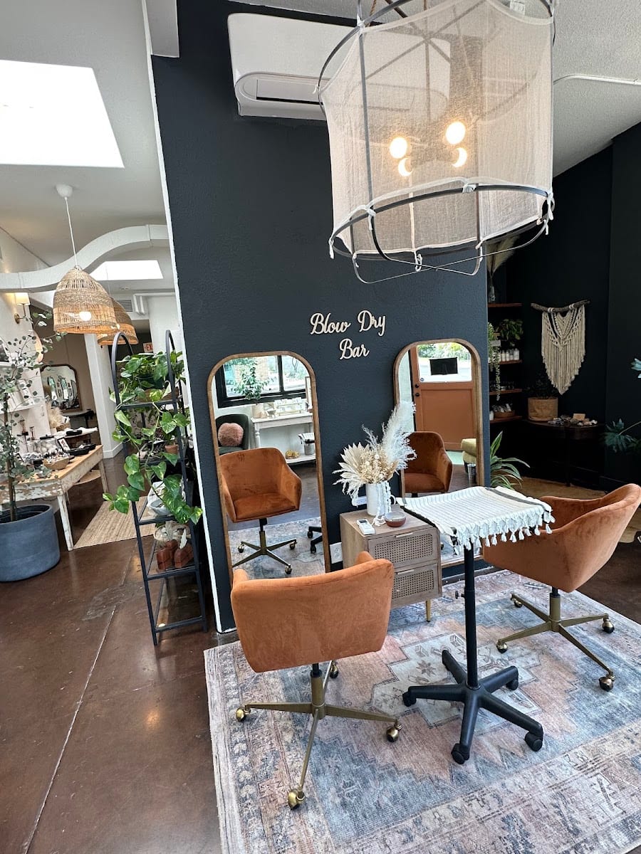 Once Wild Salon Craft Stylists & Curated Goods, photo 4