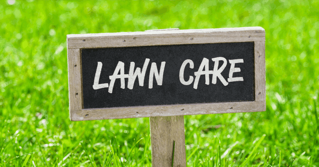Mi Llanito Lawn Care Service, photo 3