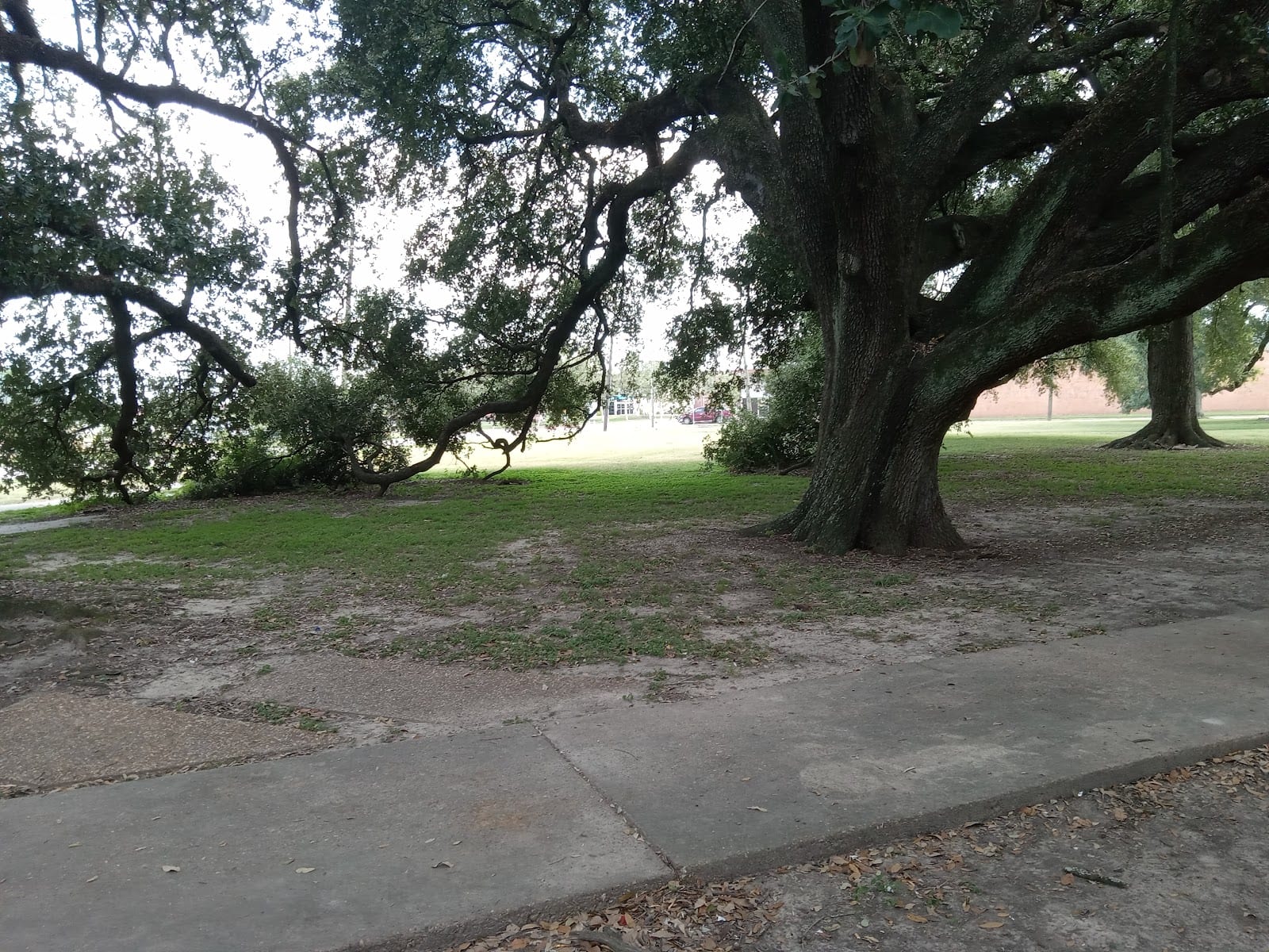 Wiess Park