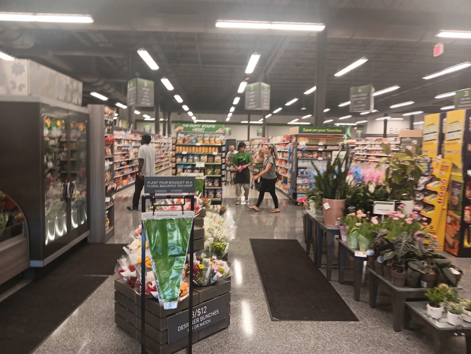 Publix Super Market at Gandy Shopping Center