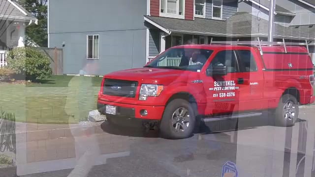 Sentinel Pest Control Olympia, photo 3