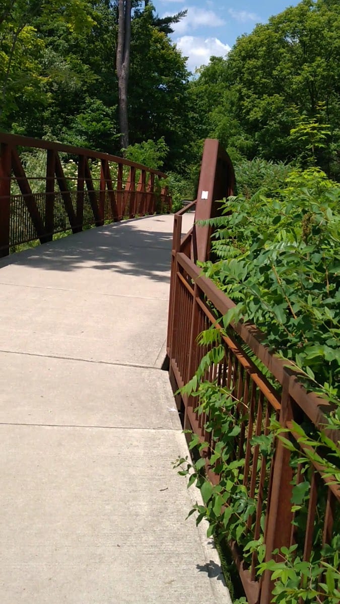 Wilket Creek Park#3, photo 2